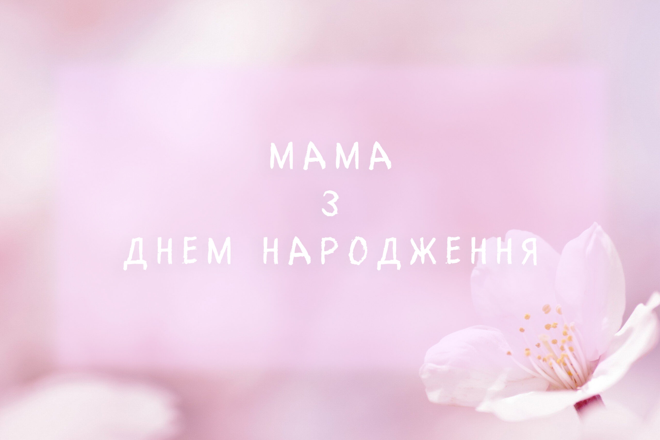 мамі